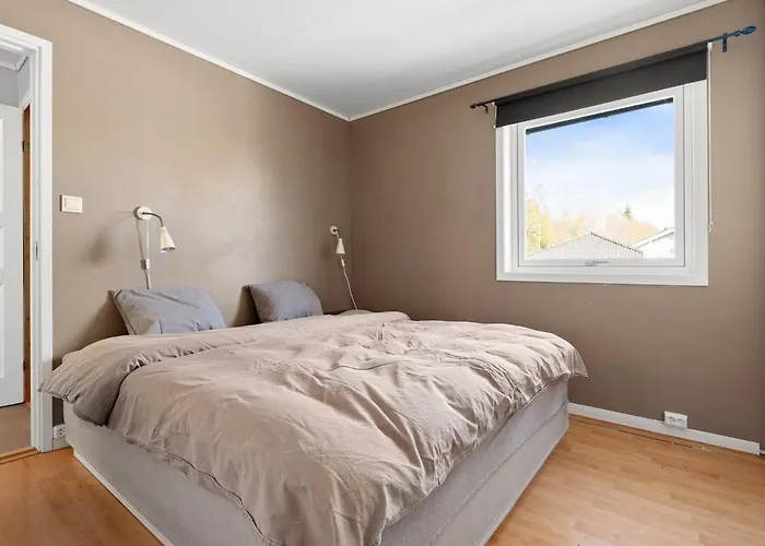 World Cup 2025 טרונדהיים